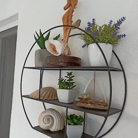 Robertino 1966 Appartamento