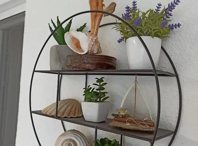 Robertino 1966 דירה