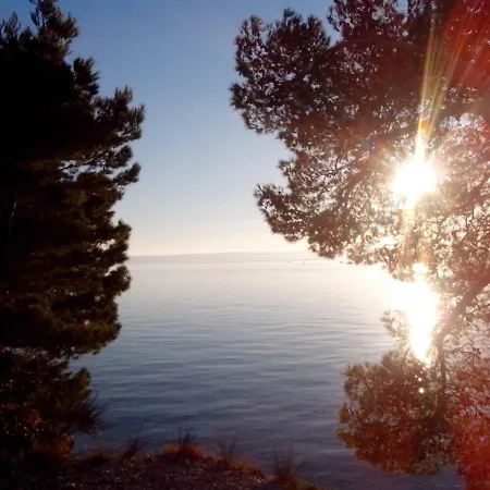 アパート Robertino 1966